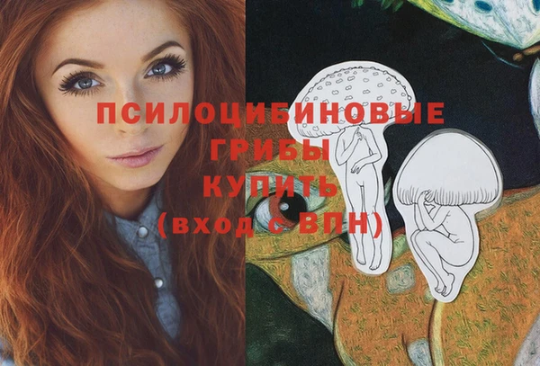 гидропоника Аркадак